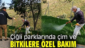 Çiğli parklarında çim ve bitkilere özel bakım