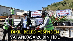 Dikili Belediyesi'nden Vatandaşa 20 Bin Fide