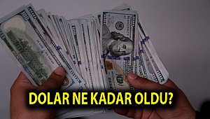 Dolar ne kadar oldu?