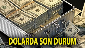 Dolarda son durum
