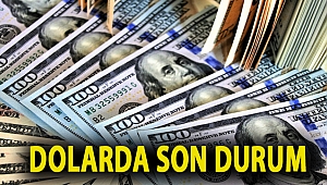 Dolarda son durum