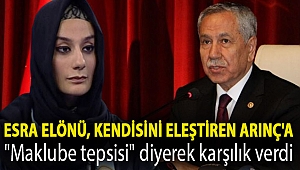 Esra Elönü, kendisini eleştiren Arınç'a