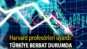 Harvard profesörleri uyardı: Türkiye berbat durumda