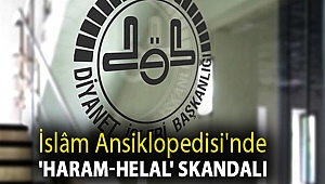 İslâm Ansiklopedisi'nde 'haram-helal' skandalı: ‘Üvey’ torunla evlilik helalmiş!