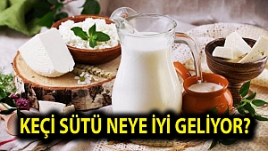 Keçi sütünün faydaları nelerdir? Keçi sütü neye iyi geliyor?