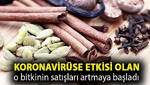 Koronavirüse etkisi olan o bitkinin satışları artmaya başladı