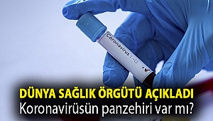 Koronavirüsün panzehiri var mı?