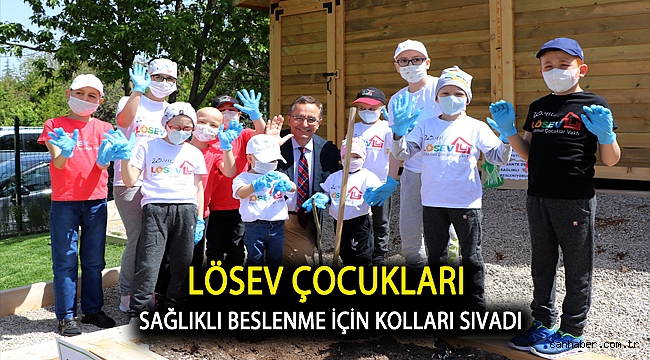 LÖSEV ÇOCUKLARI SAĞLIKLI BESLENME İÇİN KOLLARI SIVADI