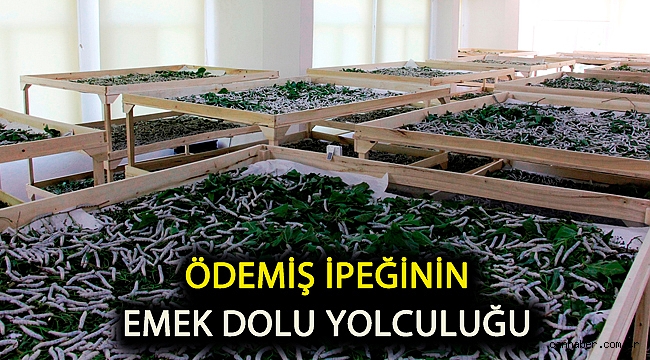Ödemiş ipeğinin emek dolu yolculuğu