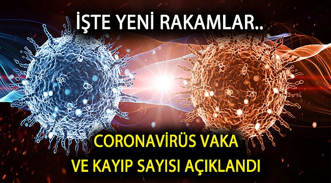 Sağlık Bakanı Koca Koronavirüsün 2 Mayıs 2020 tablosunu açıkladı
