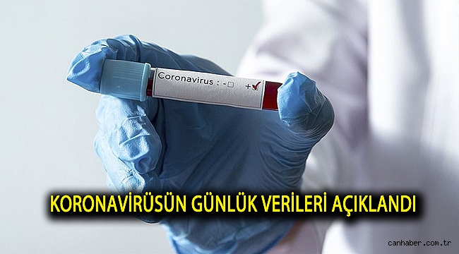 Sağlık Bakanı Koca Koronavirüsün 31 Mayıs 2020 tablosunu açıkladı