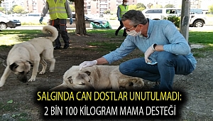 Salgında can dostlar unutulmadı: 2 bin 100 kilogram mama desteği