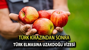 Türk kirazından sonra Türk elmasına Uzakdoğu vizesi