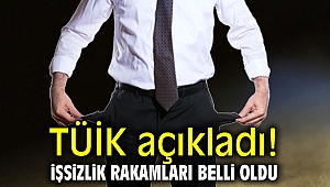 Türkiye İstatistik Kurumu açıkladı! İşsizlik rakamları belli oldu