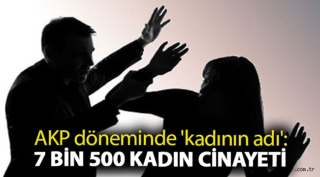 AKP döneminde 'kadının adı': 7 bin 500 kadın cinayeti