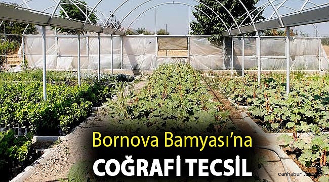 Bornova Bamyası’na coğrafi tecsil