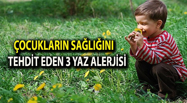 Çocukların sağlığını tehdit eden 3 yaz alerjisi