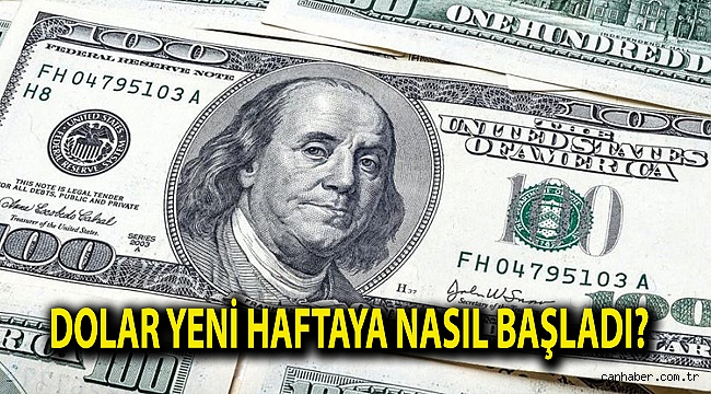 Dolar Yeni Haftaya Nasıl Başladı?