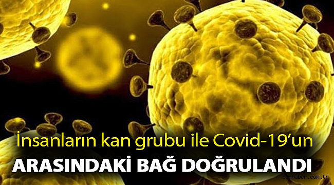 İnsanların kan grubu ile Covid-19’un ağırlık derecesi arasındaki bağ doğrulandı