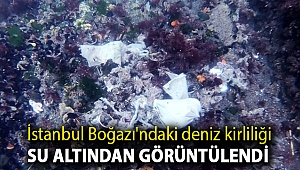 İstanbul Boğazı'ndaki deniz kirliliği su altından görüntülendi; maske, eldiven, plastik şişeler...