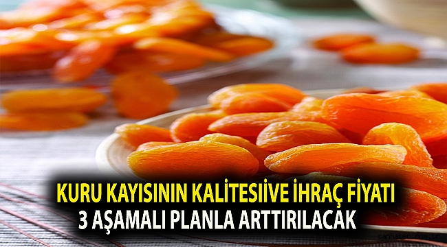 Kuru kayısının kalitesi ve ihraç fiyatı 3 aşamalı planla arttırılacak