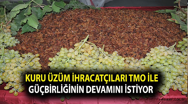 Kuru üzüm ihracatçıları TMO ile güçbirliğinin devamını istiyor