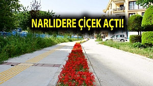 Narlıdere çiçek açtı!
