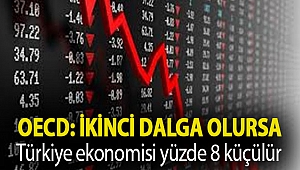 OECD: İkinci dalga olursa Türkiye ekonomisi yüzde 8 küçülür