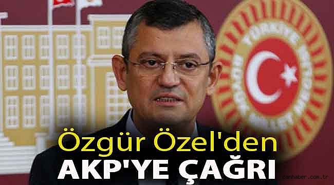Özgür Özel'den AKP'ye çağrı: Hayvan Hakları Yasası'nı TBMM'den geçirelim