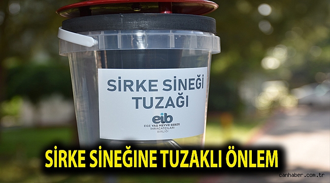 Sirke sineğine tuzaklı önlem