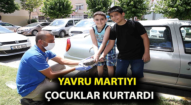 Yavru martıyı çocuklar kurtardı