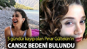 5 gündür kayıp olan Pınar Gültekin'in cansız bedeni bulundu