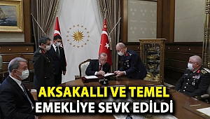Aksakallı ve Temel emekliye sevk edildi