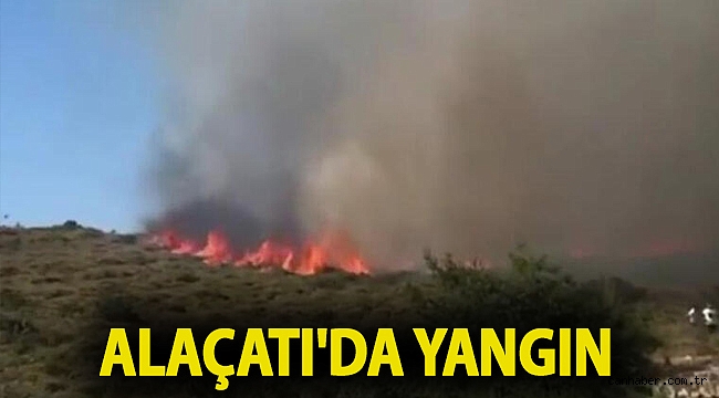 Alaçatı'da yangın
