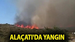 Alaçatı'da yangın