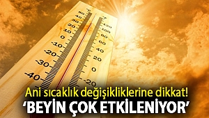 Ani sıcaklık değişikliklerine dikkat! ‘Beyin çok etkileniyor’