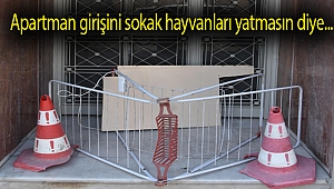 Apartman girişini sokak hayvanları yatmasın diye kapattı, tepki gördü