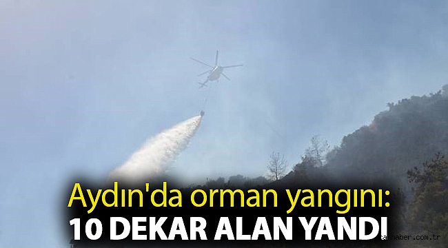 Aydın'da orman yangını: 10 dekar alan yandı