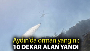 Aydın'da orman yangını: 10 dekar alan yandı