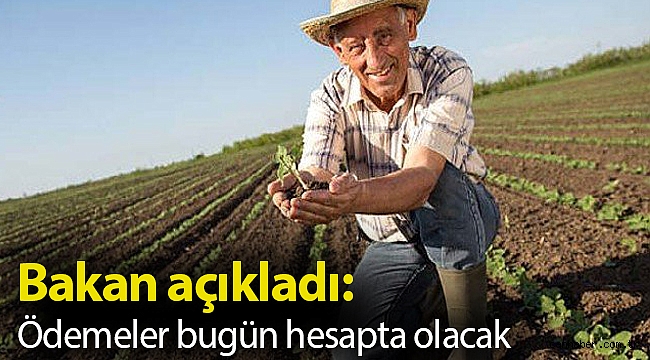 Bakan açıkladı: Ödemeler bugün hesapta olacak