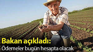 Bakan açıkladı: Ödemeler bugün hesapta olacak