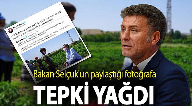 Bakan Selçuk'un paylaştığı fotoğrafa tepki yağdı: