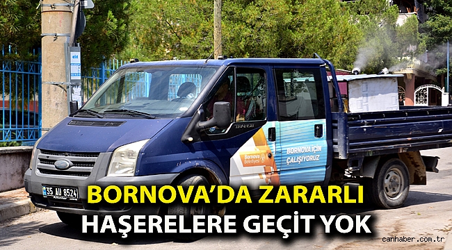 Bornova’da zararlı haşerelere geçit yok