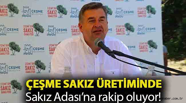 Çeşme sakız üretiminde Sakız Adası’na rakip oluyor!