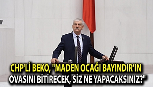 CHP'li Beko,