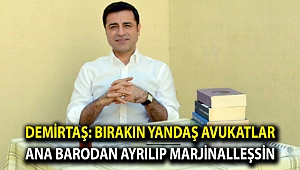 Demirtaş: Bırakın yandaş avukatlar ana barodan ayrılıp marjinalleşsin