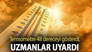 Diyarbakır'da termometre 48 dereceyi gösterdi, uzmanlar uyardı