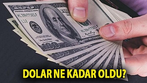 Dolar ne kadar oldu?