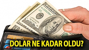 Dolar ne kadar oldu?