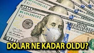 Dolar ne kadar oldu?